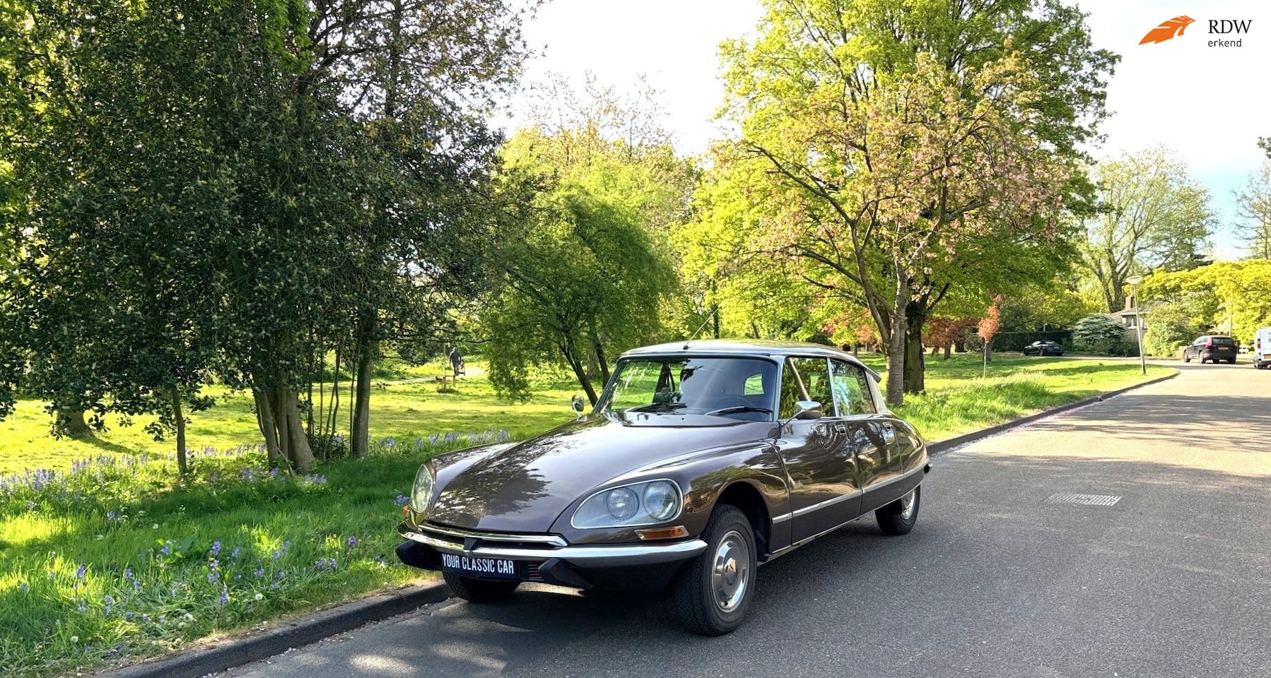 Citroën DS - Nederlandse 23 PALLAS - AutoWereld.nl