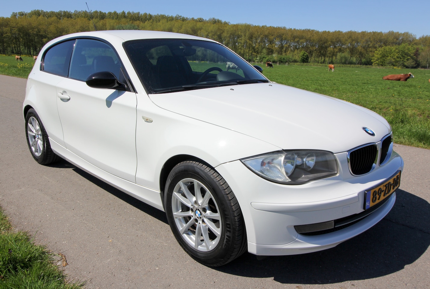 BMW 1-serie - 116i Executive 3-deurs 122pk - AutoWereld.nl