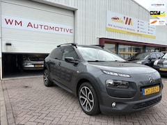 Citroën C4 Cactus - 1.6 BlueHDi PANARAMADAK