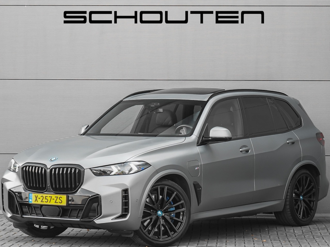 BMW X5 - xDrive50e M-Sport Pro Driving Ass Pro Stoelvent H&K Iconic Glow Trekhaak Frozen - AutoWereld.nl