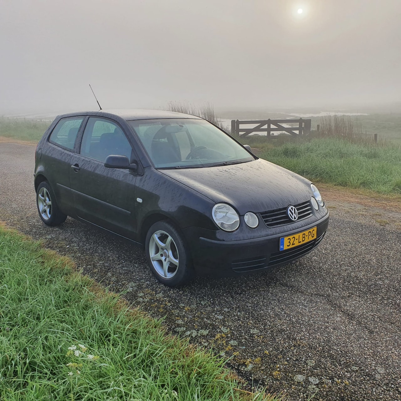 Volkswagen Polo - 1.4-16V Comfortline - AutoWereld.nl