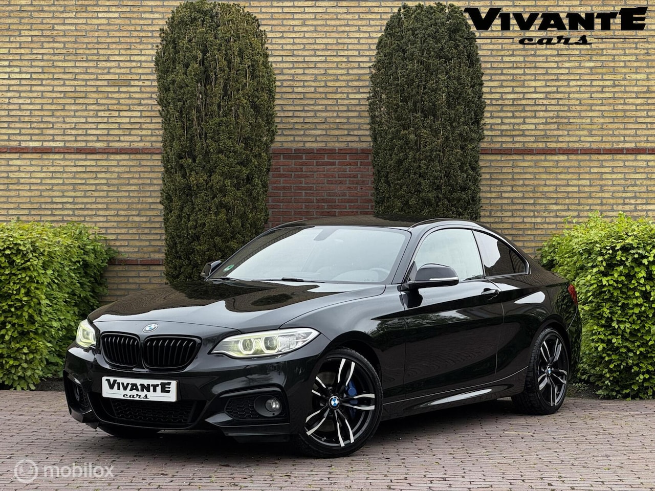 BMW 2-serie Coupé - 220i High Executive M Pakket*Stoel.vrw*H&K*Cruise - AutoWereld.nl