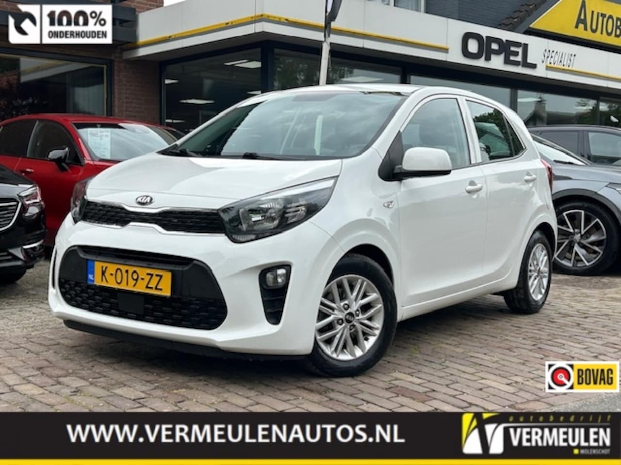Kia Picanto - 1.0 DPi 67PK DynamicLine + 14"/ Airco/ Cruise/ Camera/ CarPlay/ NL auto - AutoWereld.nl