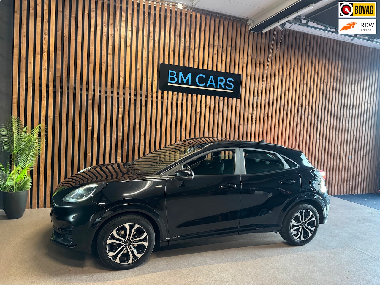 Ford Puma - 1.0 EcoBoost ST-Line Automaat, Xenon, Cruise - AutoWereld.nl