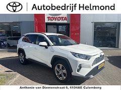 Toyota RAV4 - 2.5 Hybrid Business Plus