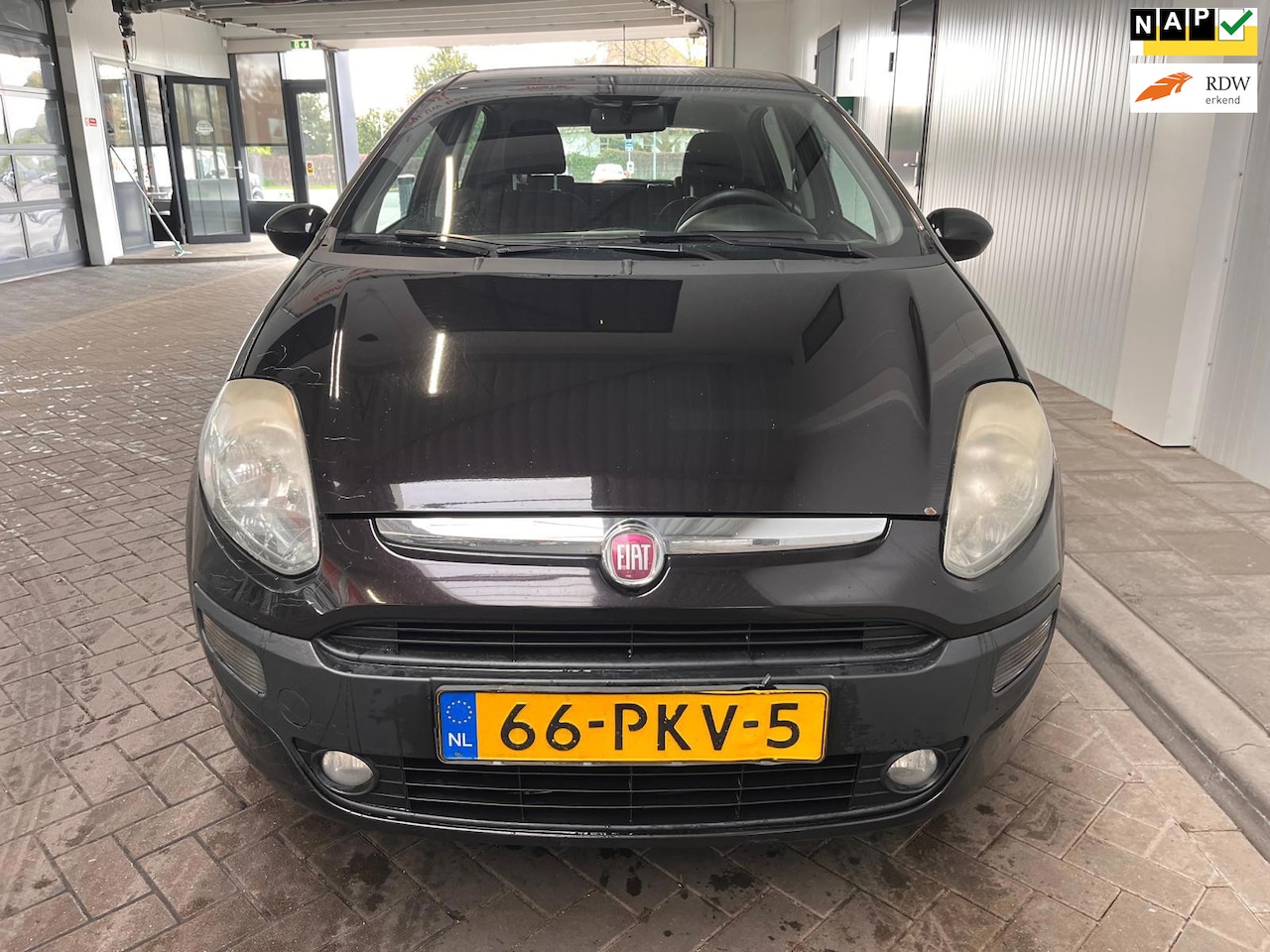 Fiat Punto Evo - 1.3 M-Jet Dynamic 1.3 M-Jet Dynamic - AutoWereld.nl