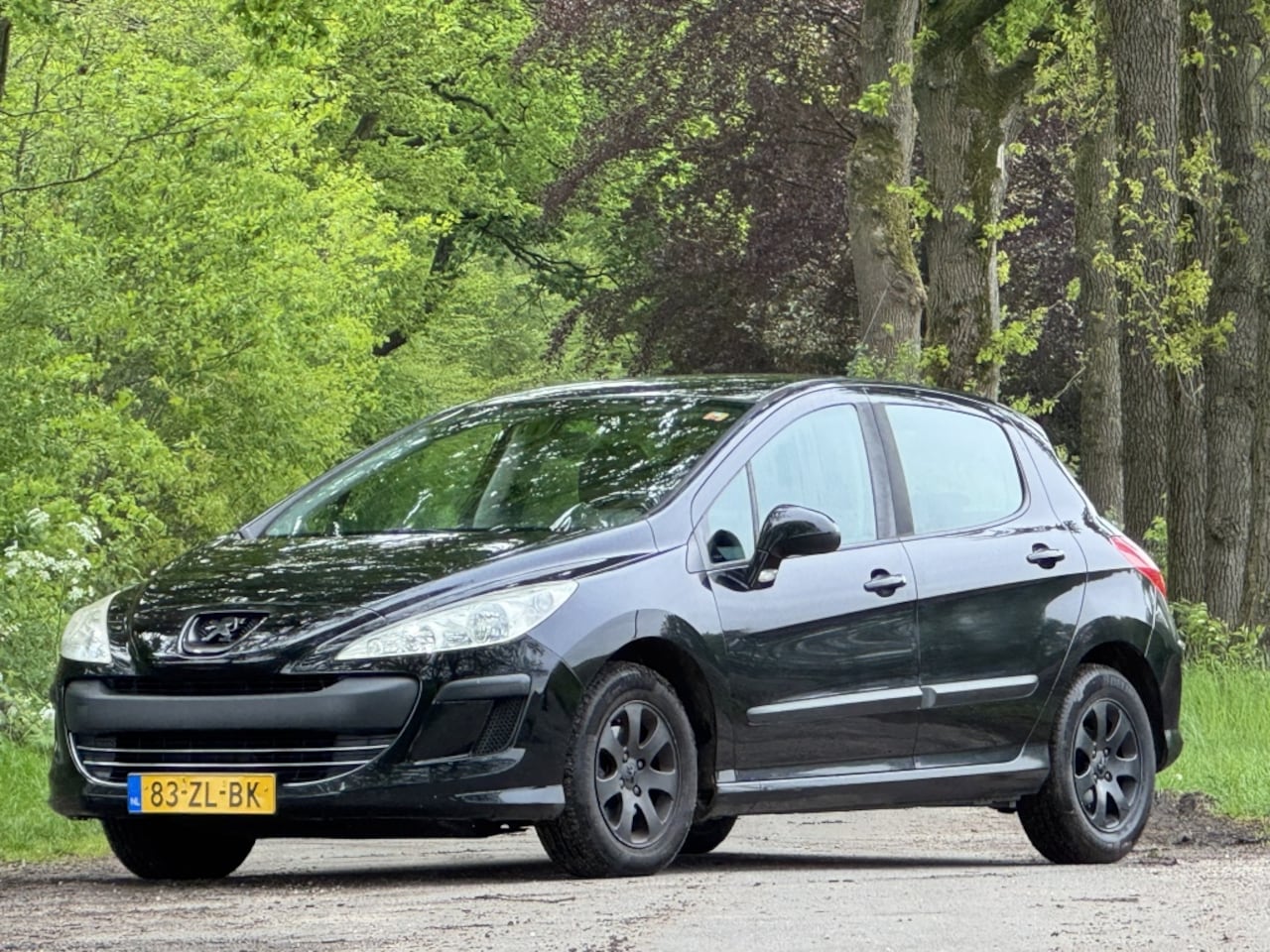 Peugeot 308 - 1.4 VTi X-line apk 3-11-26 - AutoWereld.nl