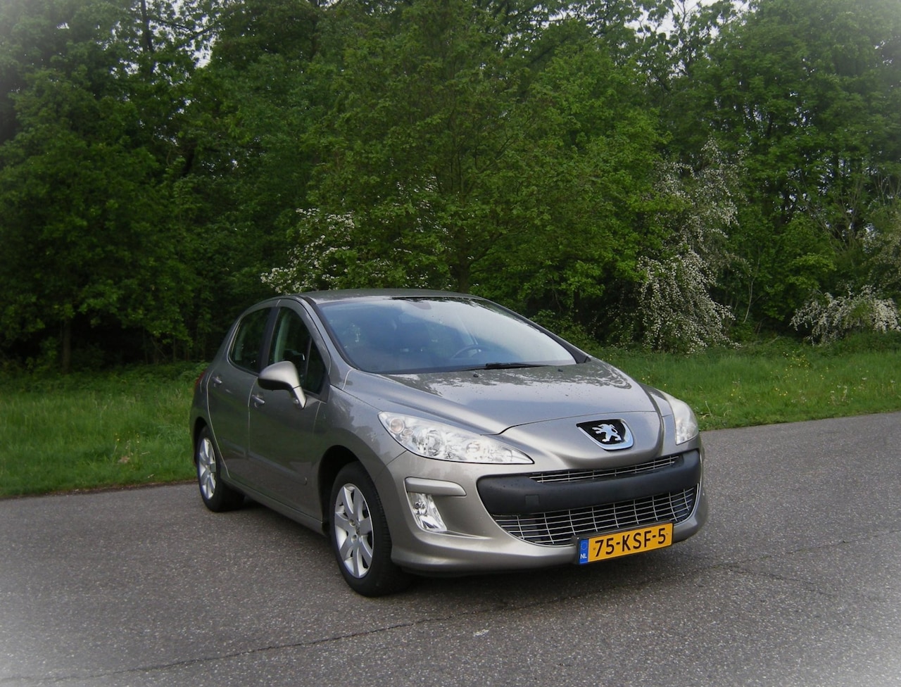 Peugeot 308 - 1.6 VTi XS . 5 Drs . Trekhaak . Airco . cruiscontrol . PDC . eerste eigenaar . - AutoWereld.nl