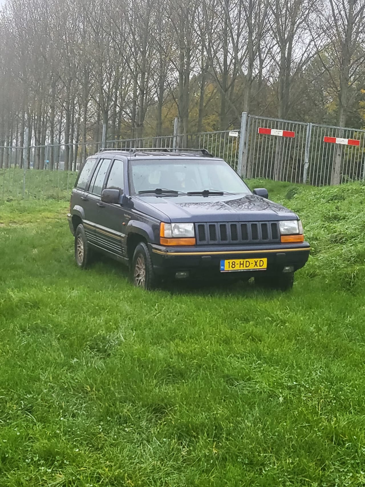 Jeep Grand Cherokee - 4.0i Limited - AutoWereld.nl