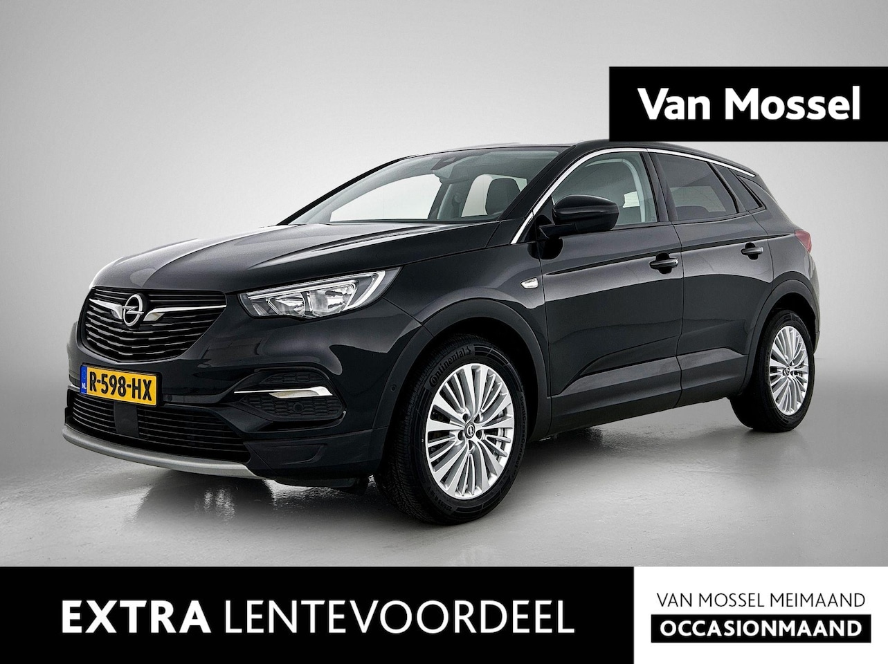 Opel Grandland X - 1.2 Turbo Business Executive | Camera | Trekhaak | Apple Carplay/Android Auto | - AutoWereld.nl