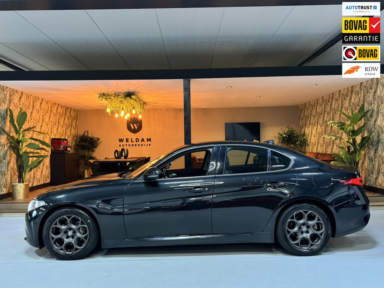 Alfa Romeo Giulia - 2.0T Super Garantie Camera Navigatie Cruise Control Rijklaar - AutoWereld.nl