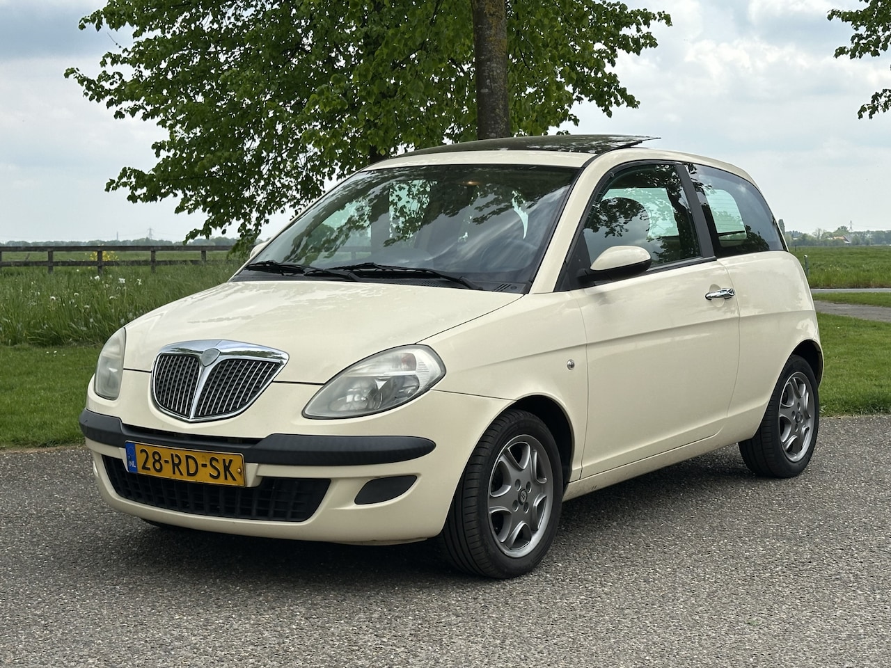 Lancia Y(psilon) - Ypsilon 1.4-16V Argento NAP * INCL Garantie - AutoWereld.nl