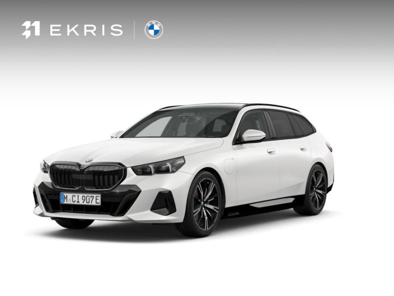BMW 5-serie Touring - 530e | M Sportpakket Pro | Pano | Trekhaak | Harman Kardon - AutoWereld.nl
