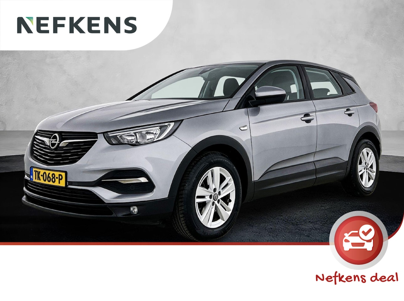 Opel Grandland X - 1.2 Turbo Business Executive 1.2 Turbo Business Executive - AutoWereld.nl