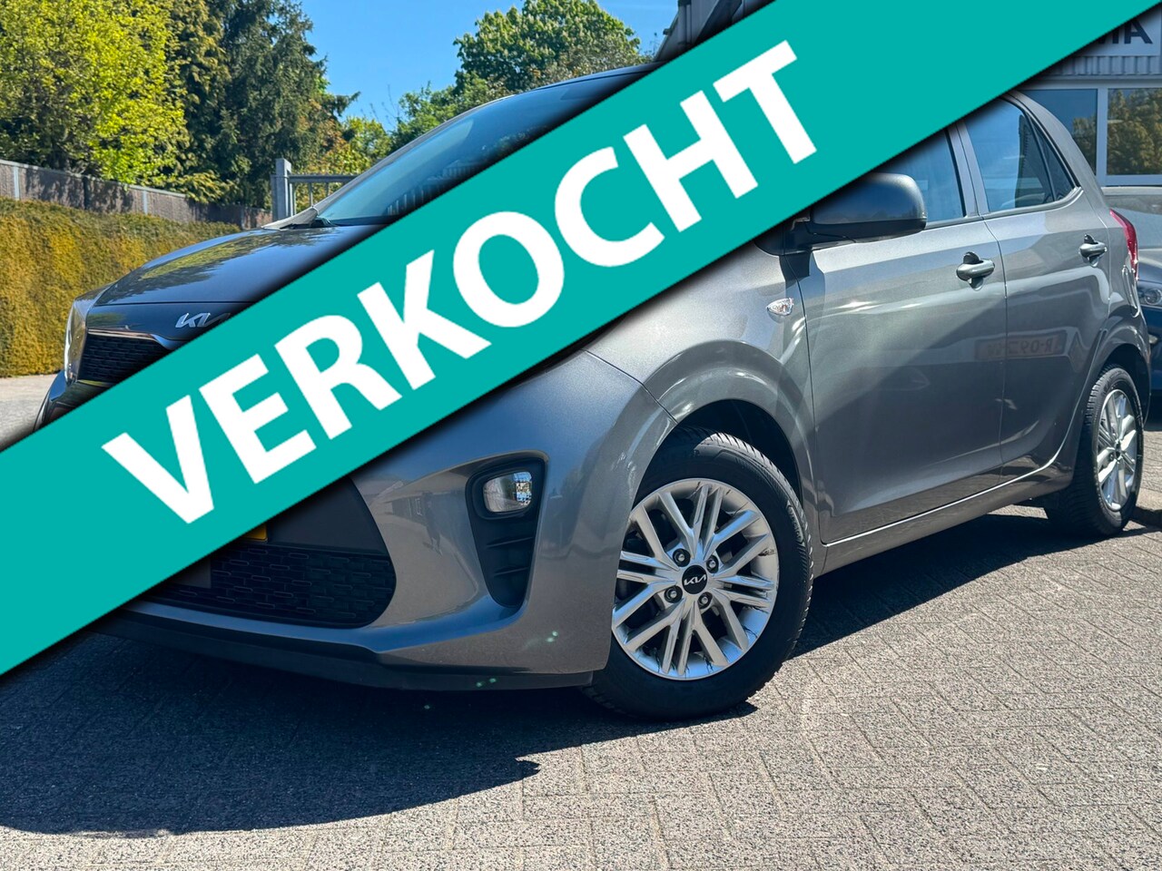 Kia Picanto - 1.0 DPi DynamicLine | All Seasons | Camera | Apple Carplay | Android Auto | - AutoWereld.nl