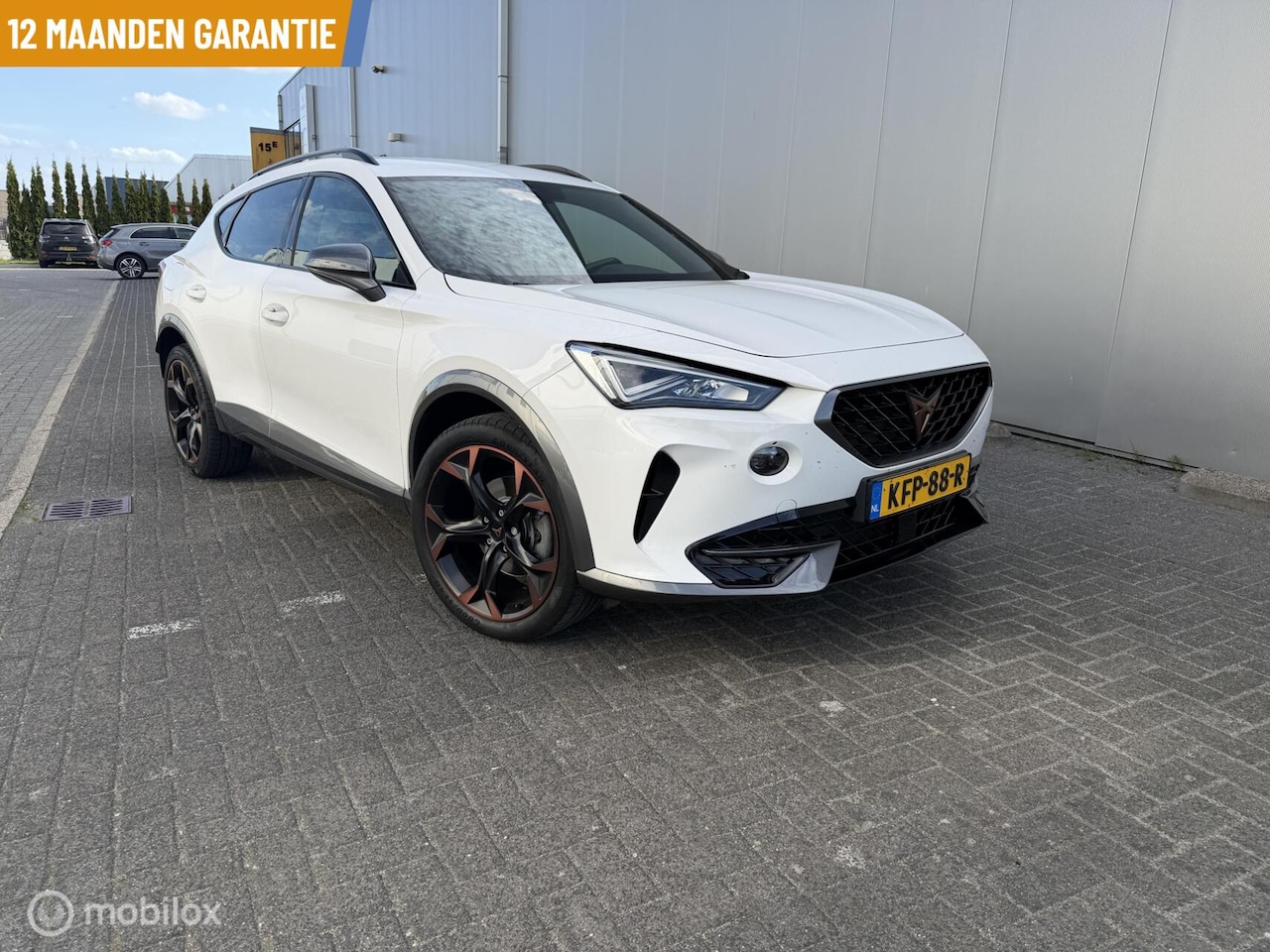 CUPRA Formentor - 204 PK Hybride | Copper velgen | camera - AutoWereld.nl