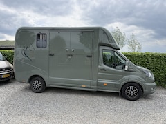 Ford Transit - | Horsetruck | KRISMAR | STALLION 3XL | 2024 | HENGST | 39.400KM | AUTOMAAT | 3-SEAT | L3