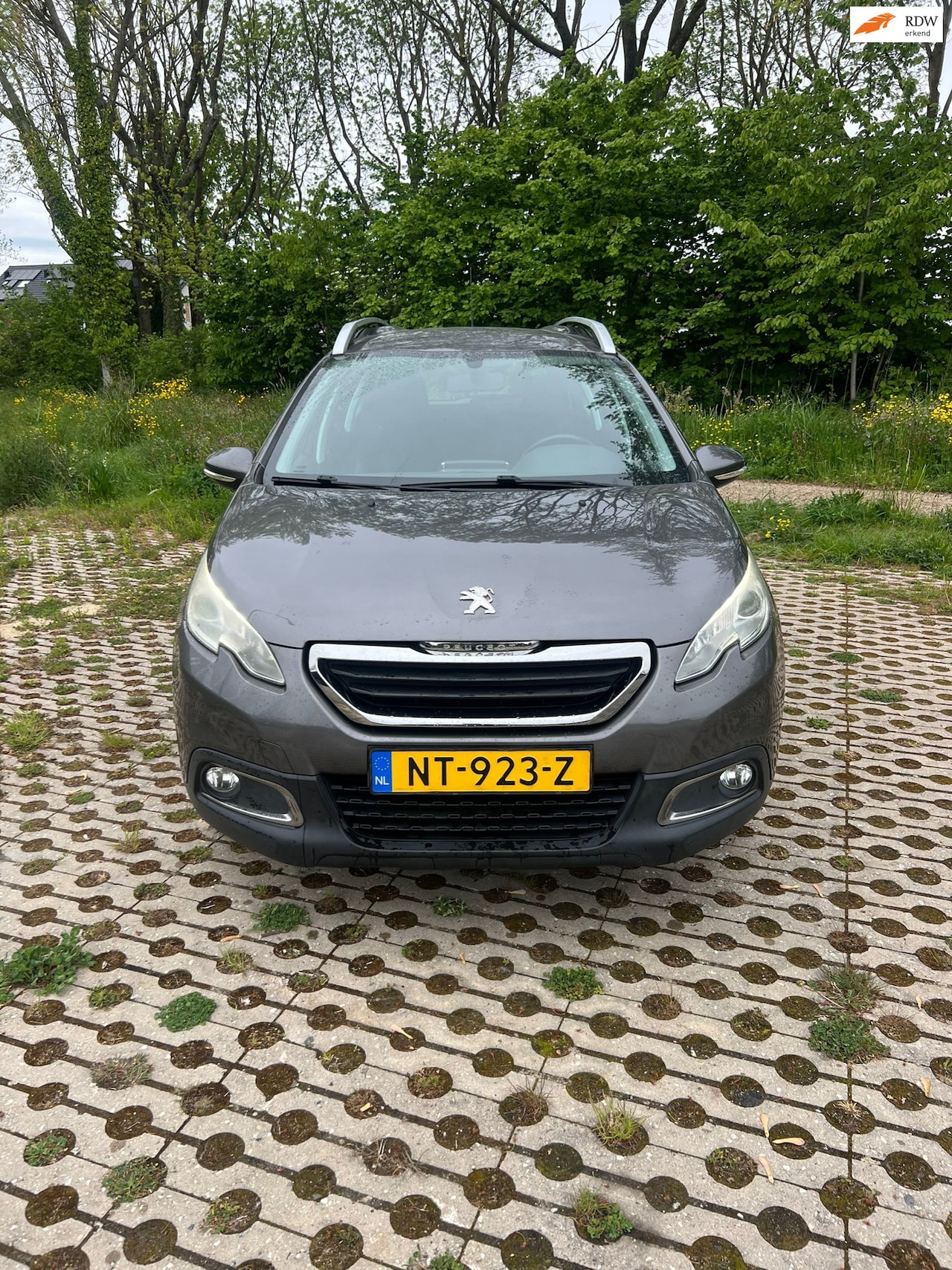 Peugeot 2008 - 1.2 PureTech Active Pack Premium 1.2 PureTech Active Pack Premium - AutoWereld.nl