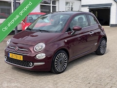 Fiat 500 - 0.9 TwinAir Turbo Lounge/Clima/Cruise/Pano