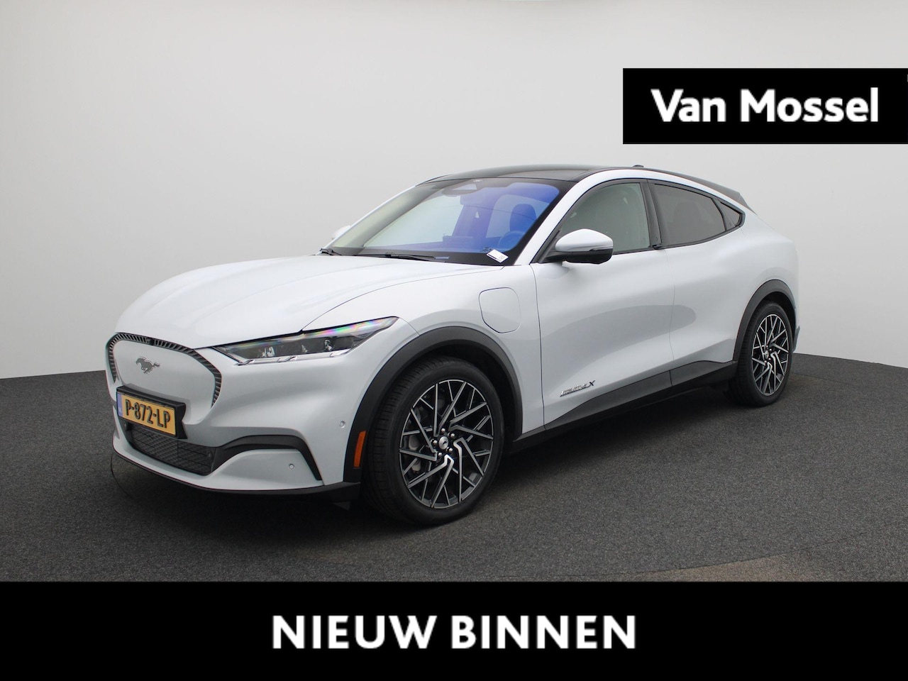 Ford Mustang Mach-E - Extended RWD 98 kWh | Panoramadak | B&O | Carplay | Winter Pakket | Camera | Memory | Led - AutoWereld.nl