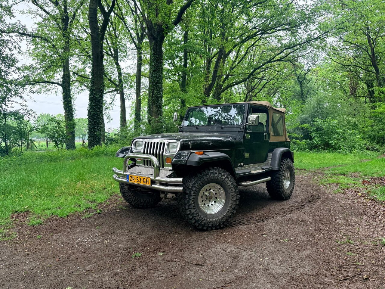Jeep Wrangler - 4.0i Softtop 4.0i Softtop - AutoWereld.nl