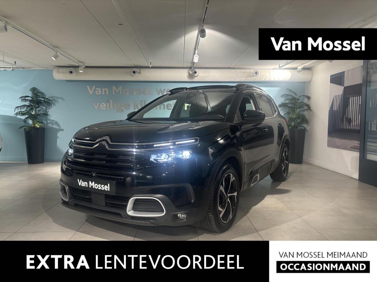 Citroën C5 Aircross - 1.6 PureTech Business Plus PANO | TREKHAAK | 360 CAM | Grip controle - AutoWereld.nl