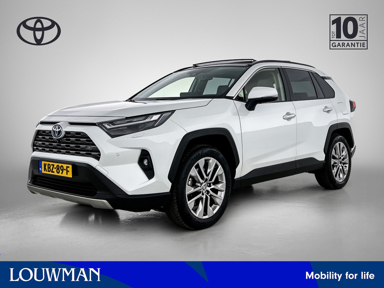 Toyota RAV4 - 2.5 Hybrid AWD Executive | Trekhaak | Schuif-/kanteldak | Airco | Parkeersensoren - AutoWereld.nl