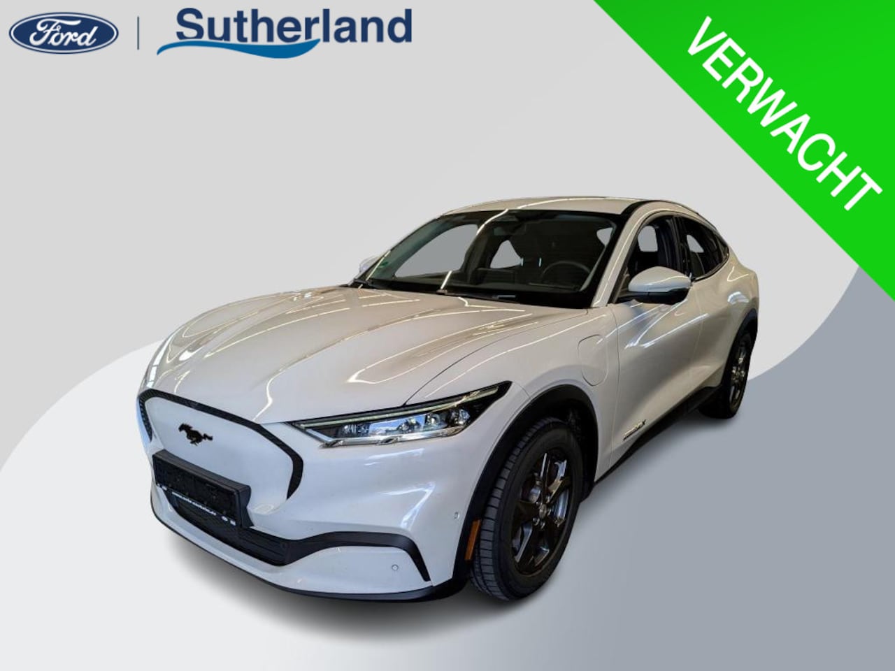 Ford Mustang Mach-E - Extended RWD 98 kWh | 66.000 KM | Volledig Lederen Interieur | Technology Pack | WORDT VER - AutoWereld.nl