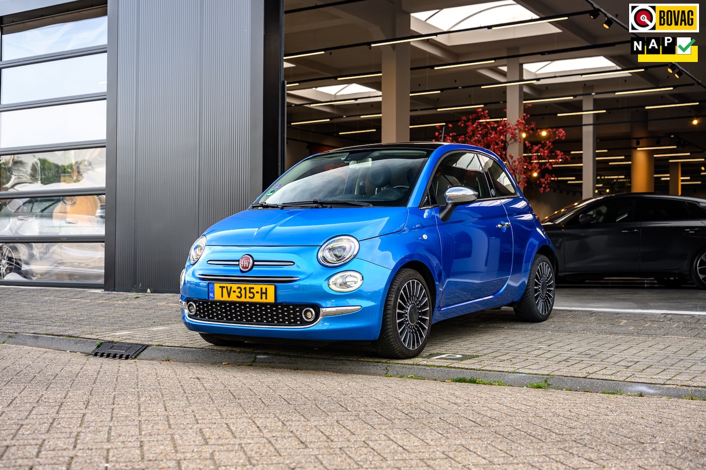 Fiat 500 - 0.9 TwinAir Turbo Collezione|Glazen Dak|Cruise Control|Carplay| - AutoWereld.nl