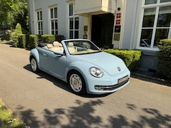 Volkswagen Beetle Cabriolet - 1.2 TSI, Automaat, Cruise