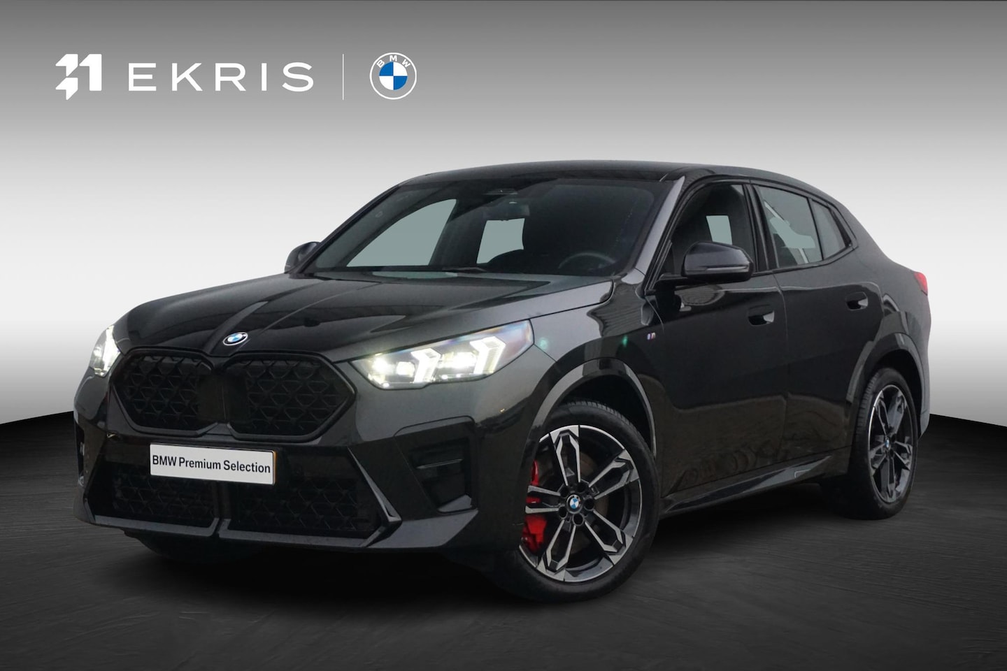 BMW X2 - sDrive18d M Sportpakket Pro 19'' / Harman Kardon / Trekhaak / Parking Assistant - AutoWereld.nl