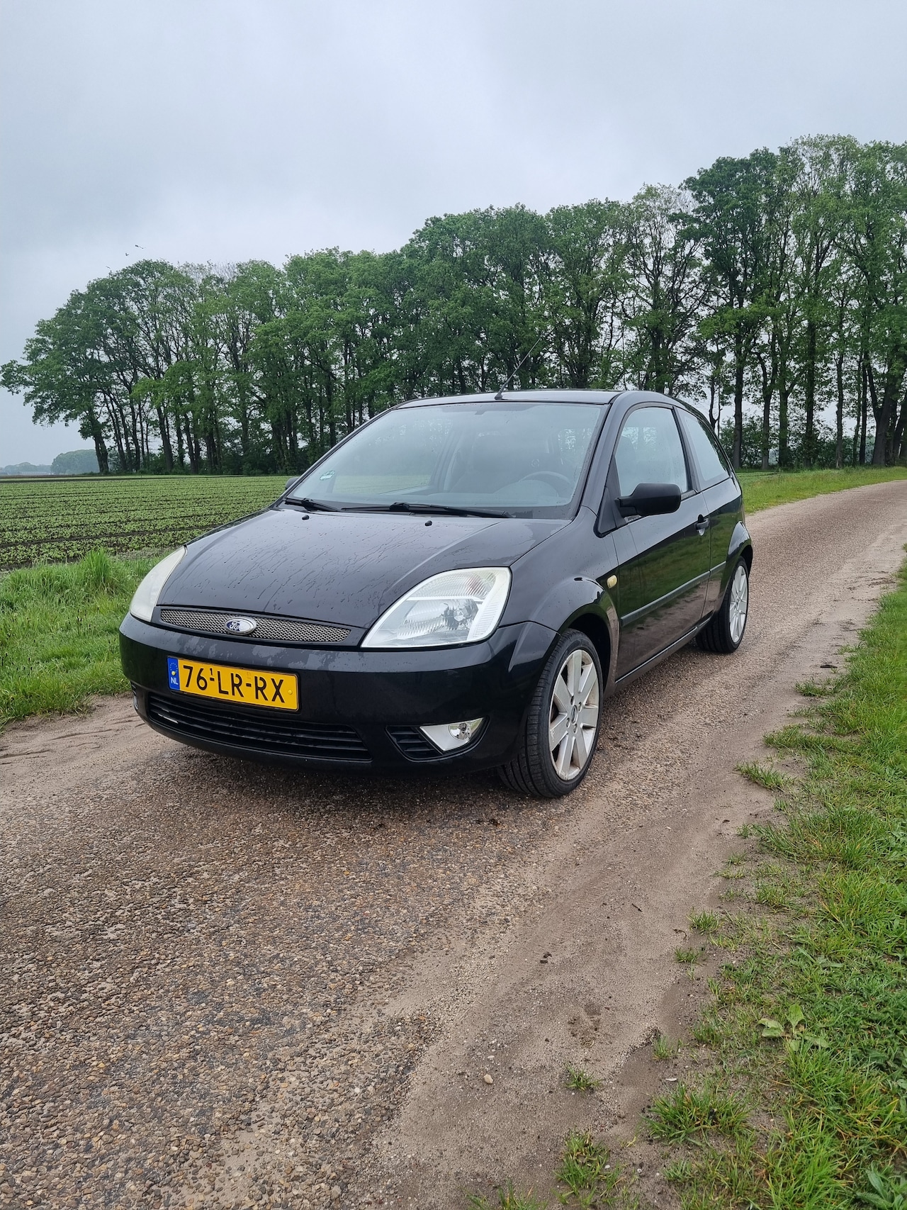 Ford Fiesta - 1.6-16V First Edition - AutoWereld.nl
