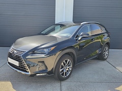 Lexus NX - 300h AWD Luxury LINE IN NIEUWSTAAT