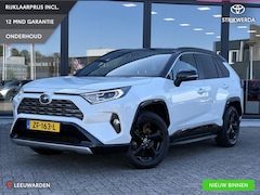 Toyota RAV4 - 2.5 Hybrid Business