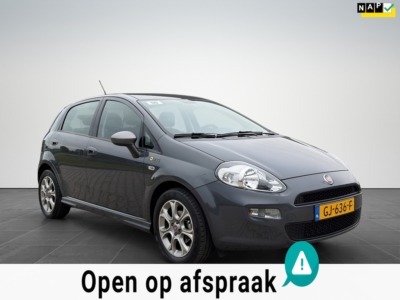 Fiat Punto Evo - 0.9 TwinAir Young Clima|NAP|DealerOnderhouden - AutoWereld.nl