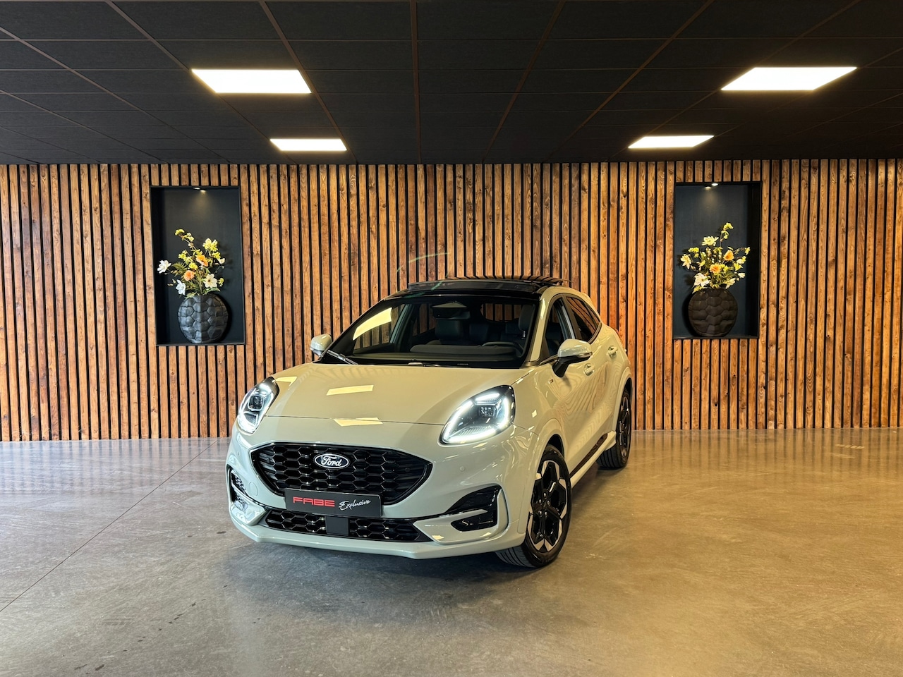 Ford Puma - 1.0 EcoBoost Hybrid ST Line / Pano / Camera / Keyless / Stuurverwarming - AutoWereld.nl