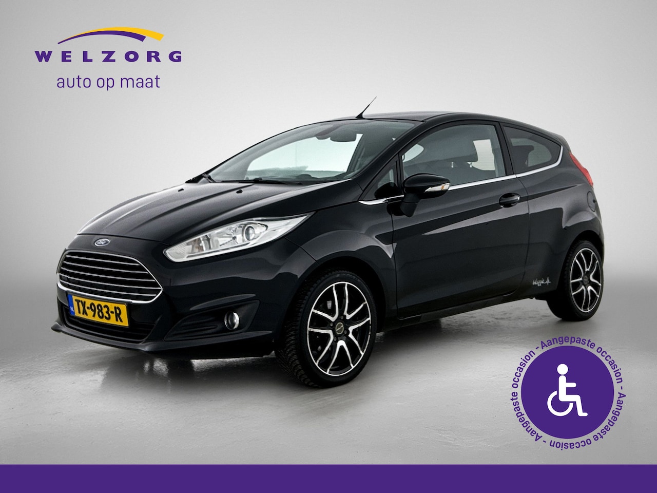 Ford Fiesta - 1.0 EcoBoost Titanium Voorzien van Handgas en Bedrijfsrem - AutoWereld.nl