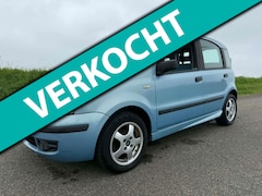 Fiat Panda - 1.2 Dynamic airco kleine beurt nw apk en garantie