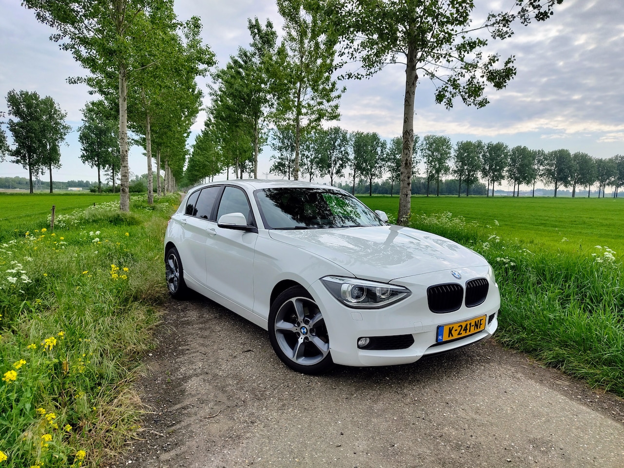 BMW 1-serie - 118i Executive 118I 170PK Aut8 - Bi-Xenon|Cruise|Navi|Trekhaak - AutoWereld.nl