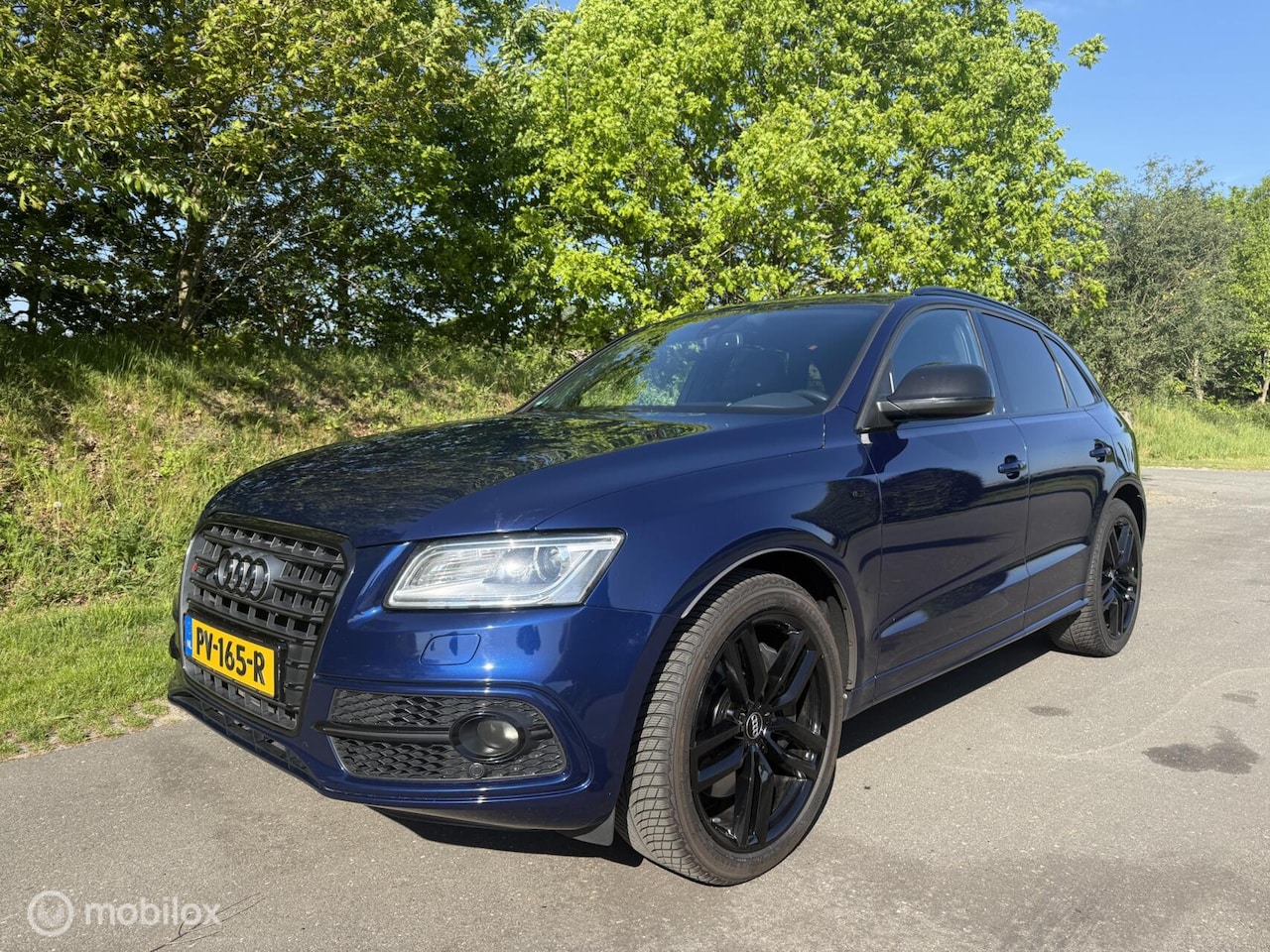 AUDI SQ5 TDI