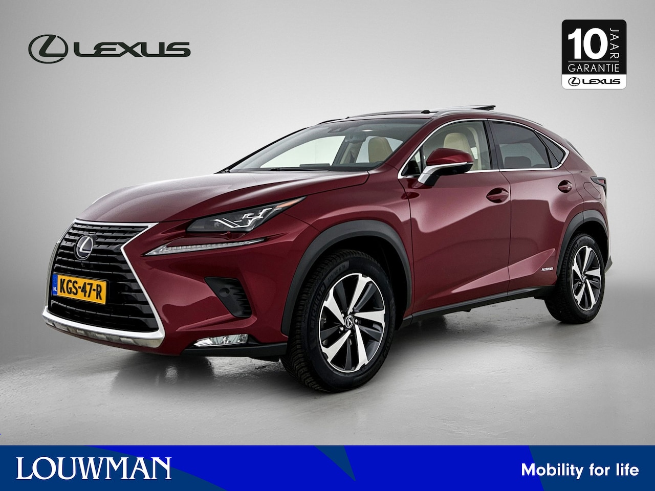 Lexus NX - 300h AWD President Line Mark Levinson | 360 camera | - AutoWereld.nl
