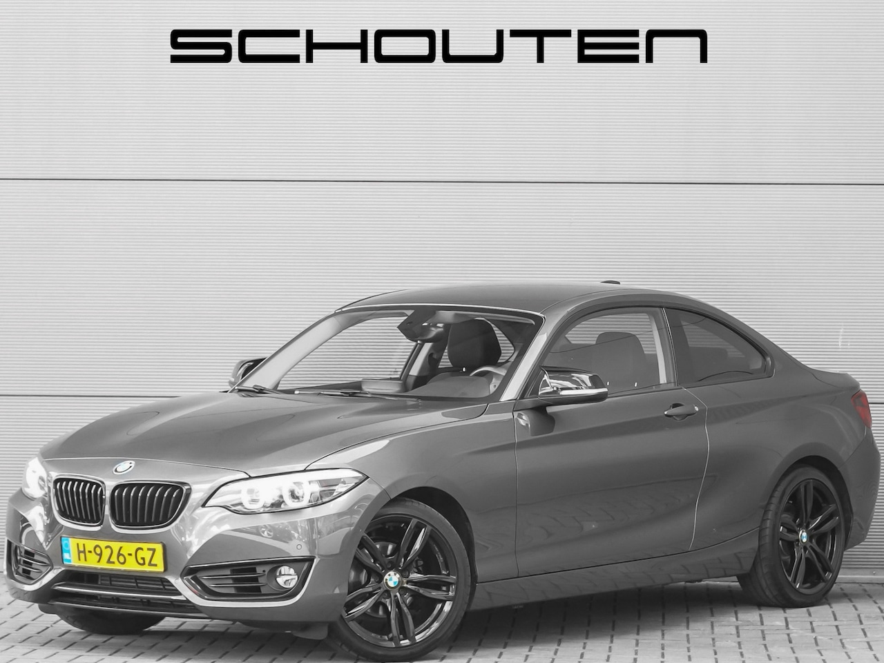 BMW 2-serie Coupé - 218i Executive Edition Camera Parkeerhulp 18" - AutoWereld.nl