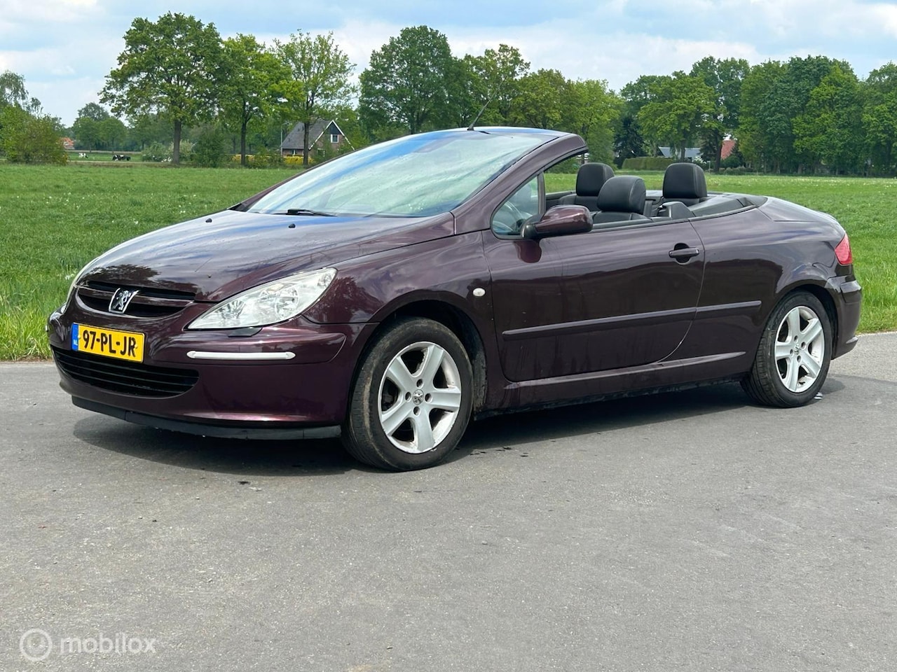 Peugeot 307 CC - 2.0-16V 2.0-16V - AutoWereld.nl