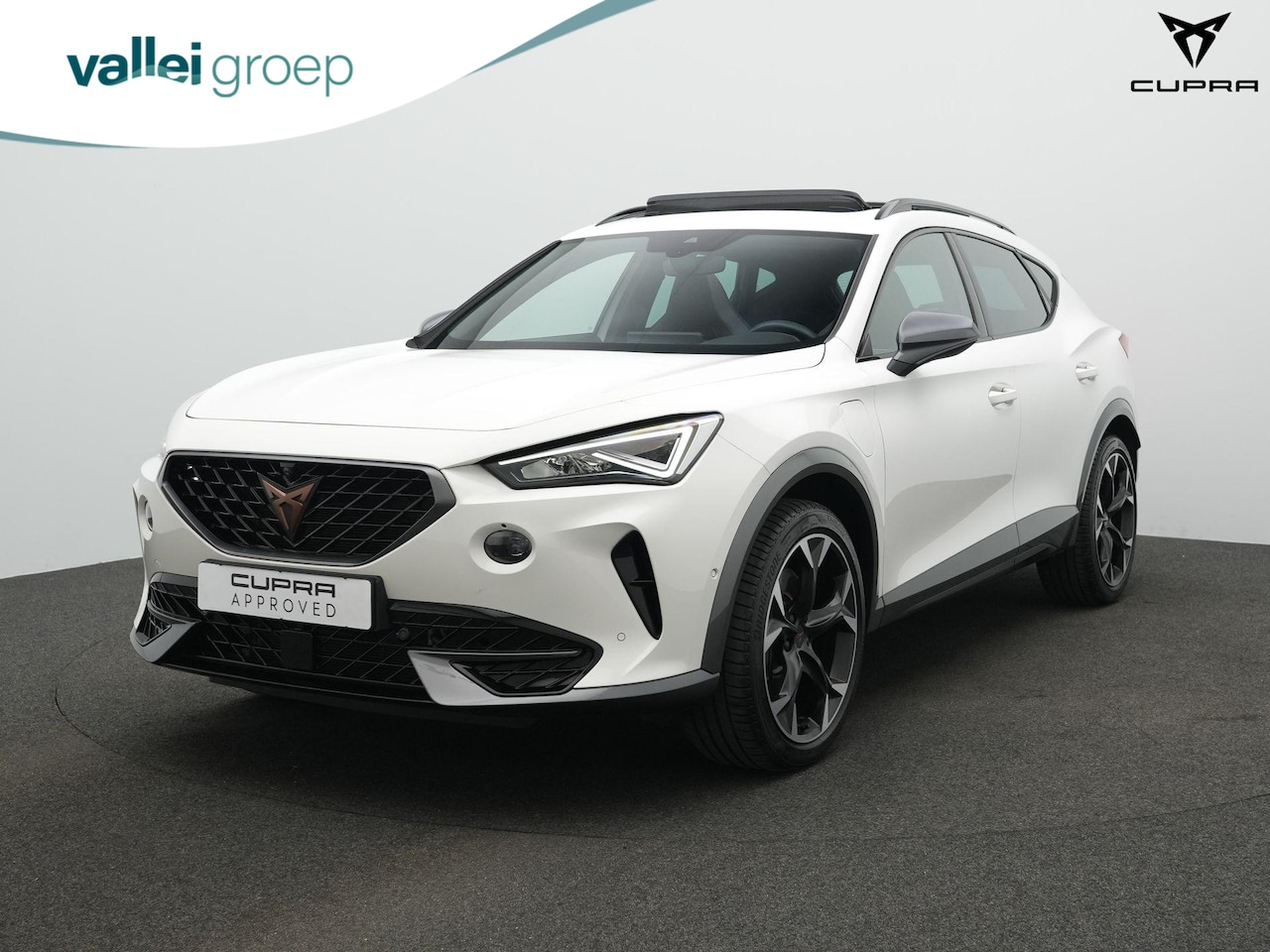 CUPRA Formentor - 1.4 e-Hybrid 245 pk VZ | Panoramadak | Lederen kuipstoelen | Adaptief sportonderstel | Geh - AutoWereld.nl