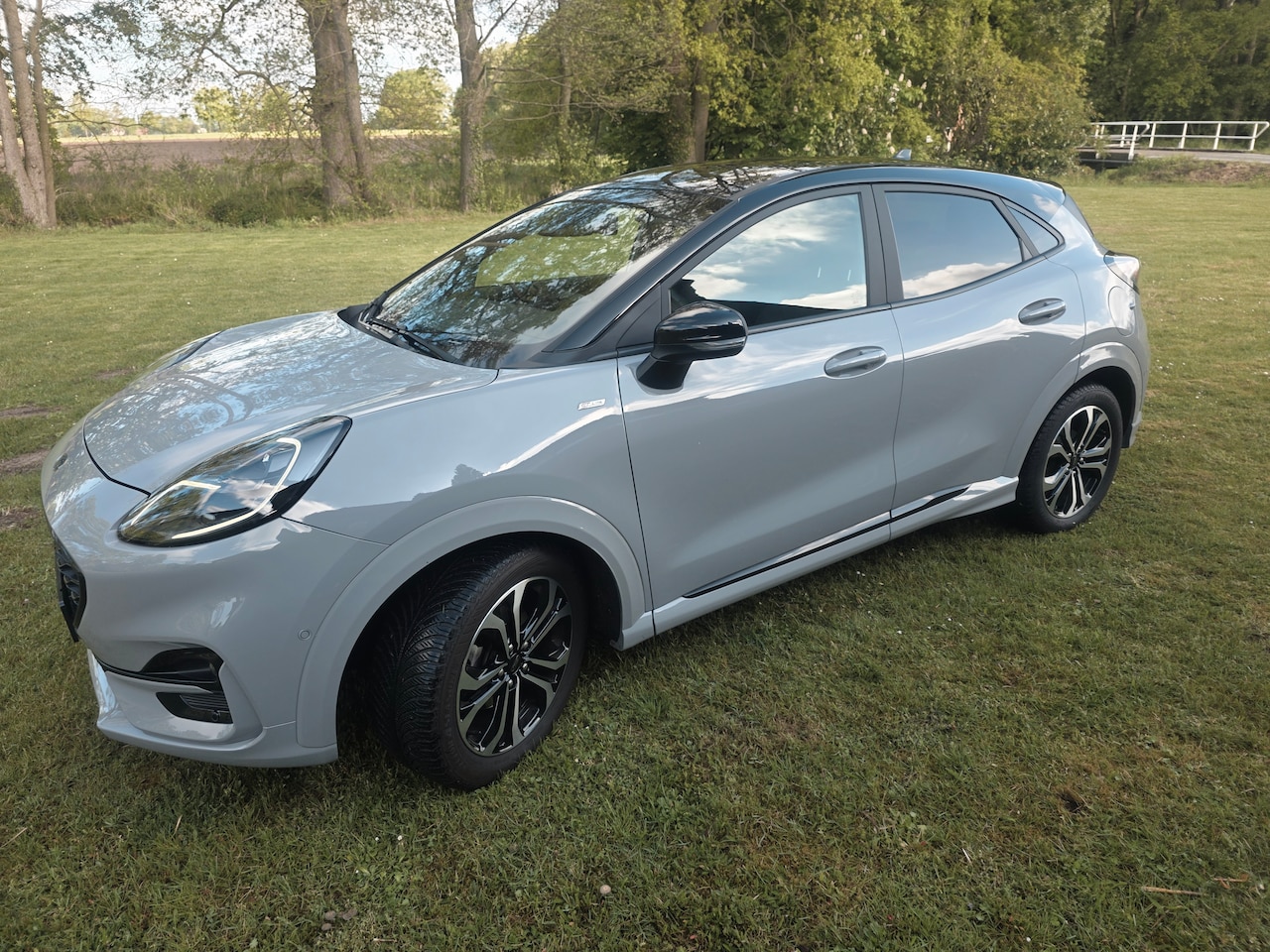 Ford Puma - 1.0 EcoBoost Hybrid ST-Line X Zwart dak - AutoWereld.nl