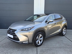 Lexus NX - 300h President Line Full options 2 JAAR GARANTIE