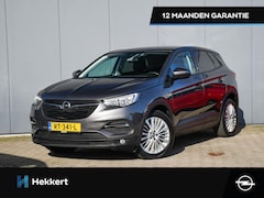 Opel Grandland X - Online Edition 1.2 Turbo 130pk PDC | 18''LM | APPLE-CARPLAY | NAVI | CRUISE.C | DAB