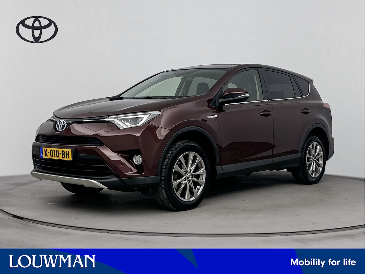 Toyota RAV4 - 2.5 Hybrid AWD Executive Business | lederen bekleding | AWD | bluetooth | - AutoWereld.nl