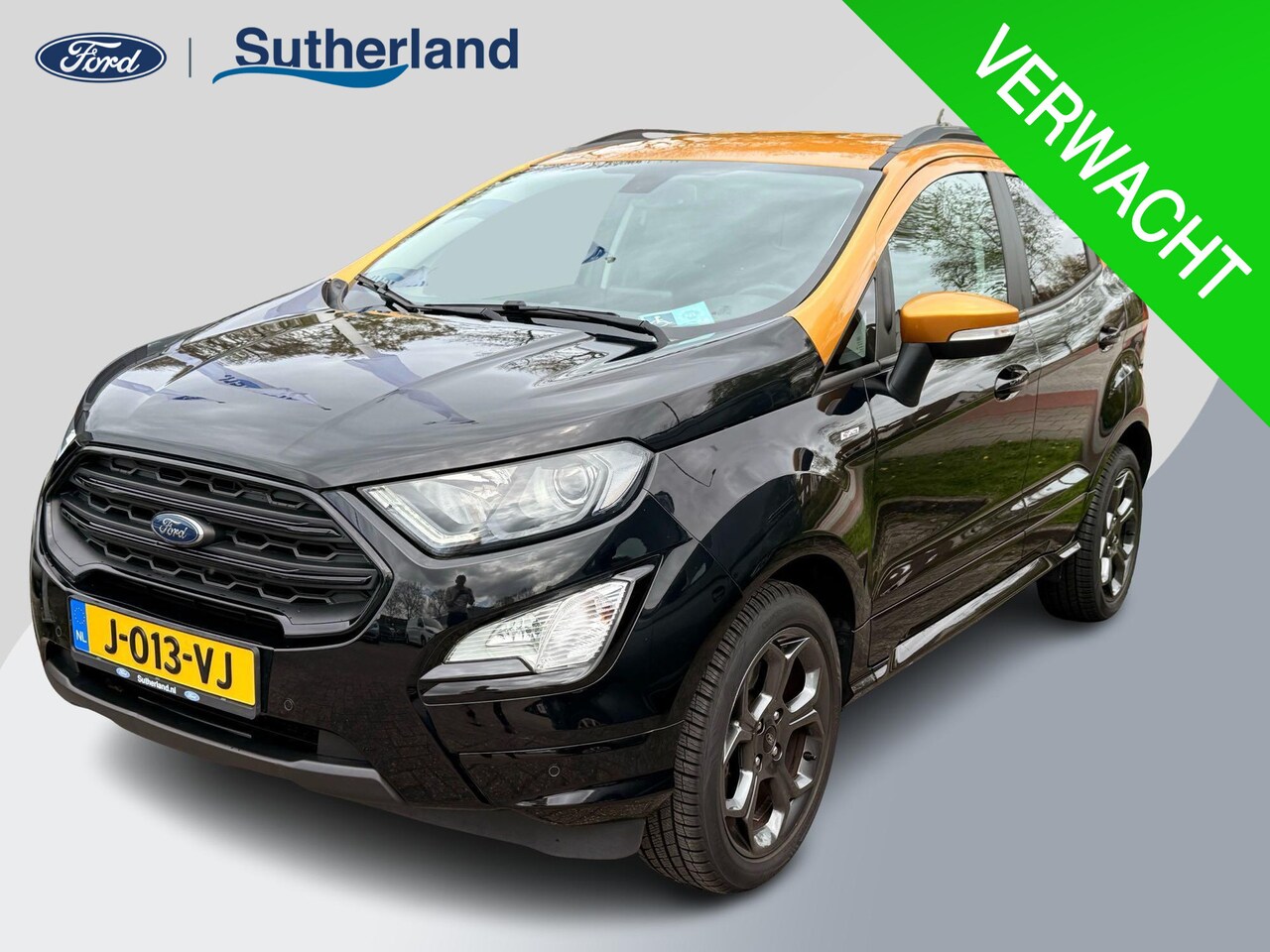 Ford EcoSport - 1.0 EcoBoost ST-Line Black | 125pk Automaat | Trekhaak | Winter Pack | B&O Audio | Achter - AutoWereld.nl