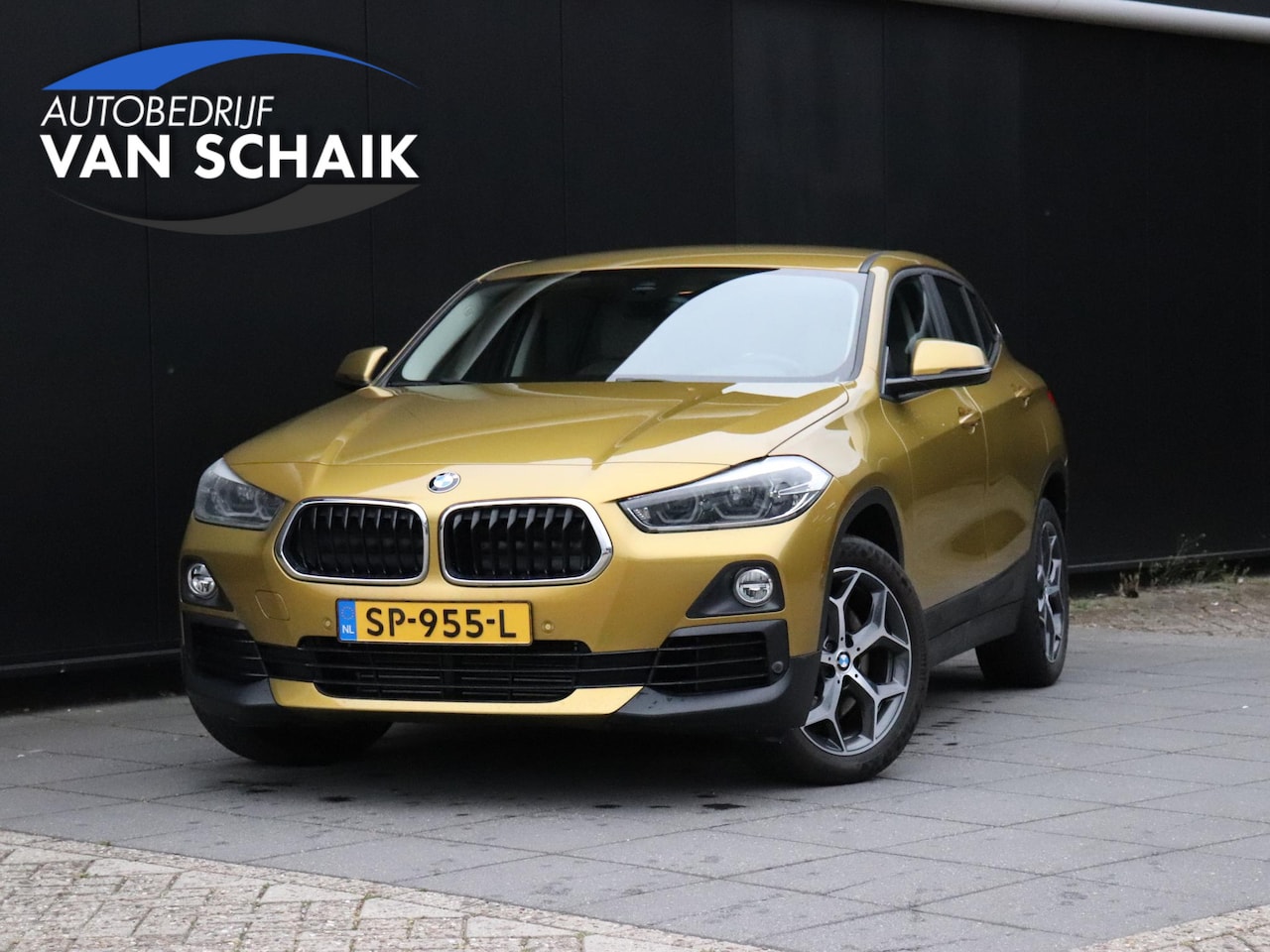 BMW X2 - sDrive20i Executive | LEDER | MEMORY | CAMERA | TREKHAAK | CRUISE | NAVI | - AutoWereld.nl